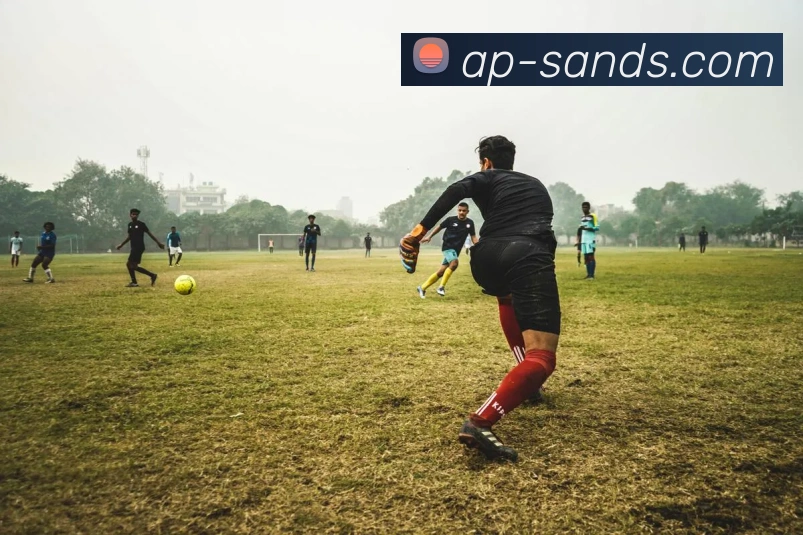 BETWAY必威官网服务体系